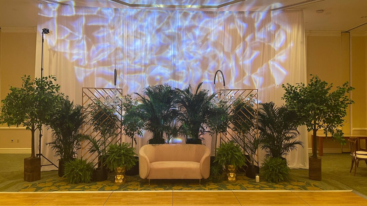 Lounge setup with a blush loveseat framed by palms and greenery against a softly lit draped backdrop